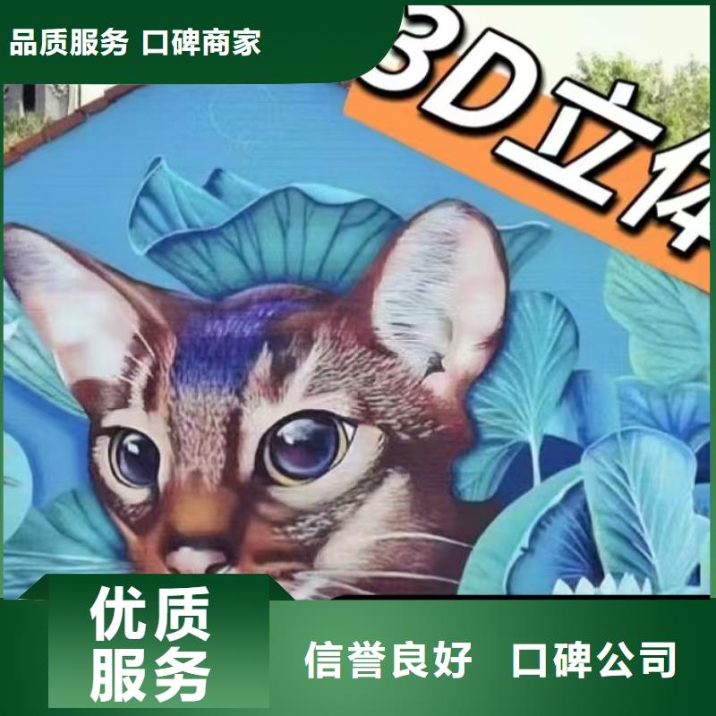 泰州墙绘手绘3D彩绘户外墙画精英团队