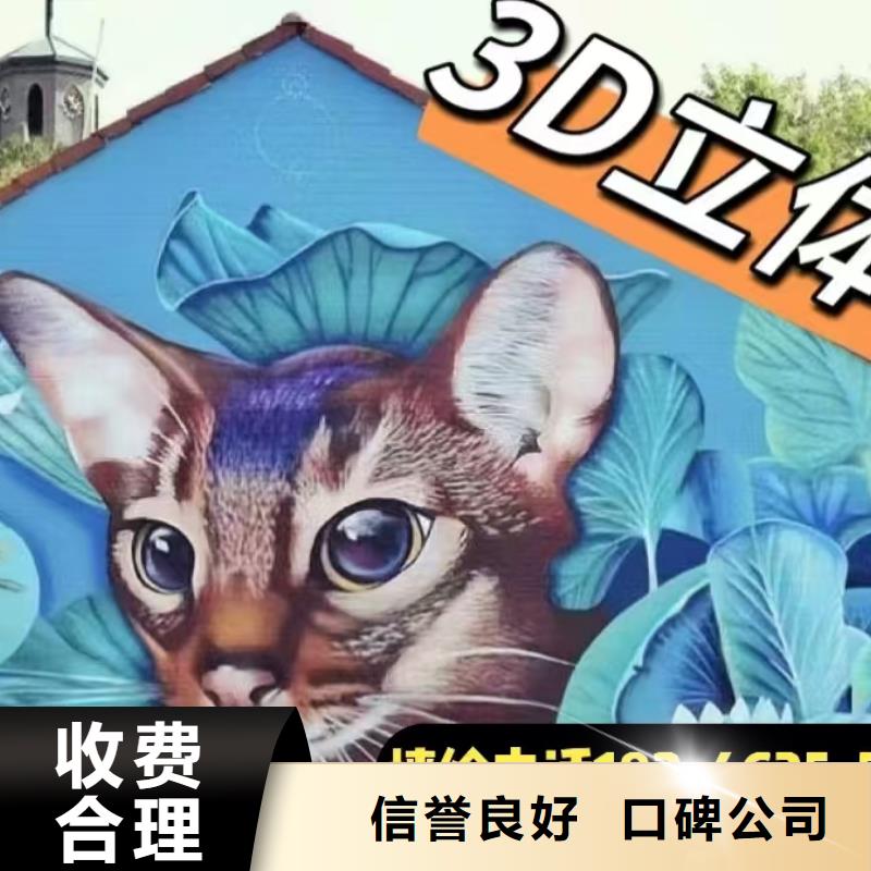 墙绘手绘3D彩绘户外墙画正规