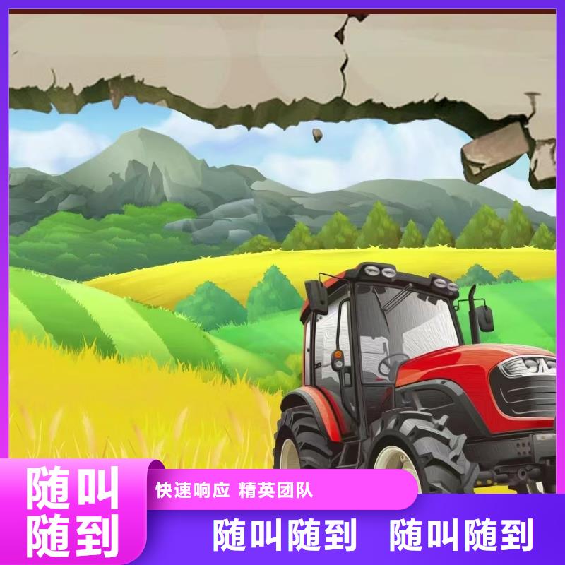 辽阳墙绘彩绘手绘墙画墙体彩绘服务周到好评度高