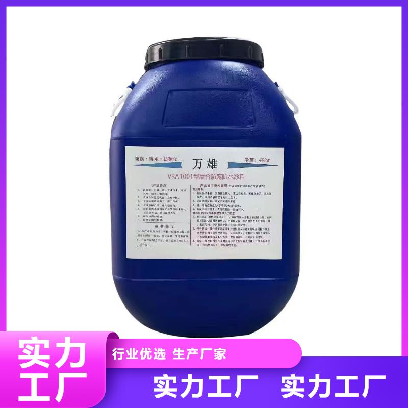 彈性高分子聚合物防水防腐涂料長期供應規格齊全改性乙烯基酯防水防腐涂料