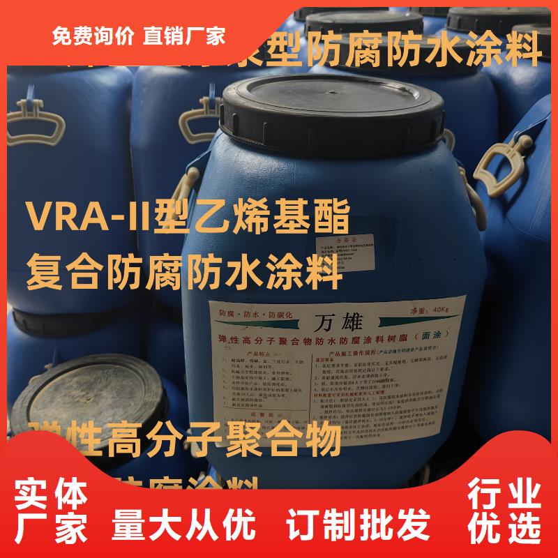 FB2聚合物改性瀝青防水涂料高品質現貨銷售直銷廠家改性乙烯基酯防水防腐涂料