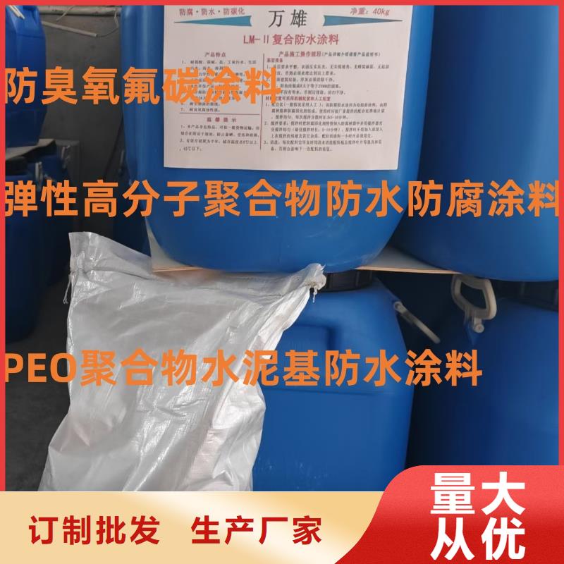 FB2聚合物改性瀝青防水涂料高品質現貨銷售直銷廠家改性乙烯基酯防水防腐涂料