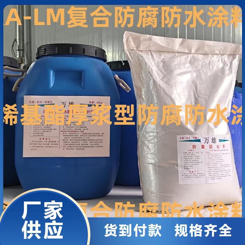 高分子聚合物水泥基防水涂膜產品性能規格齊全ES污水池專用防腐涂料