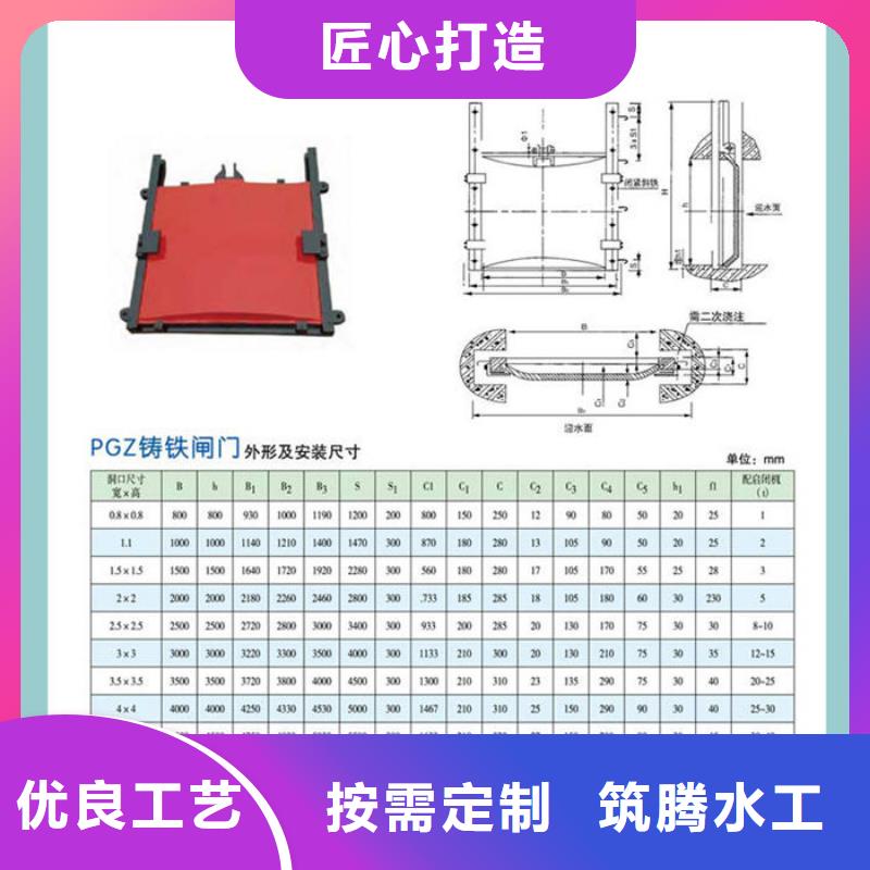 平板鑄鐵閘門用心經營